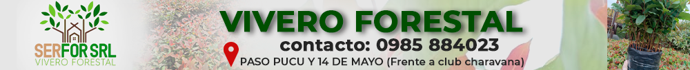 Serfor SRL