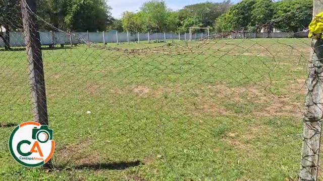 WhatsApp Video 2026 09 22 At 2.10.12 PM